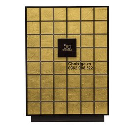Xì gà Cohiba Raritäten Aniversario 50th Anniversary Humidor