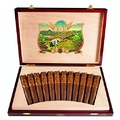 Xì gà Oliva Serie V 135th Anniversary Edición Limitada